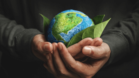 Hand holding globe nestled in leaves