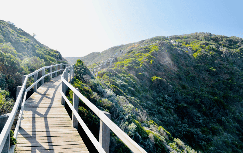 Header background mobile