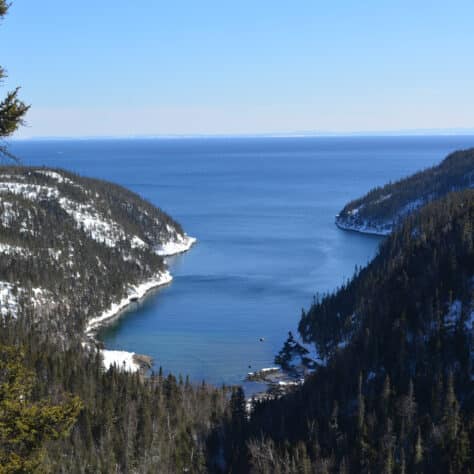 Technical and Economical Feasibility Study for QC Rail