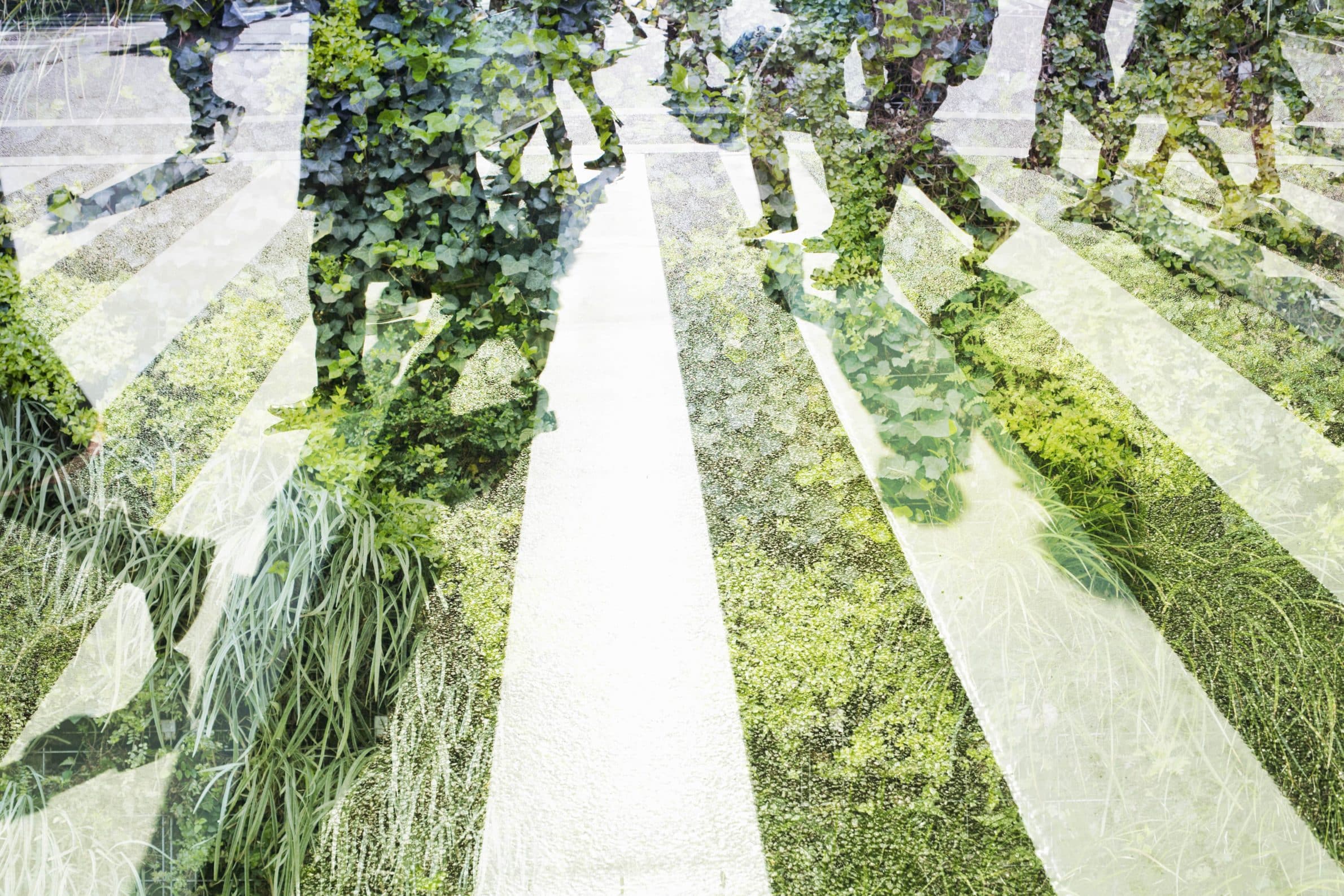 Header background