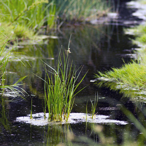 The Watercourse Reference