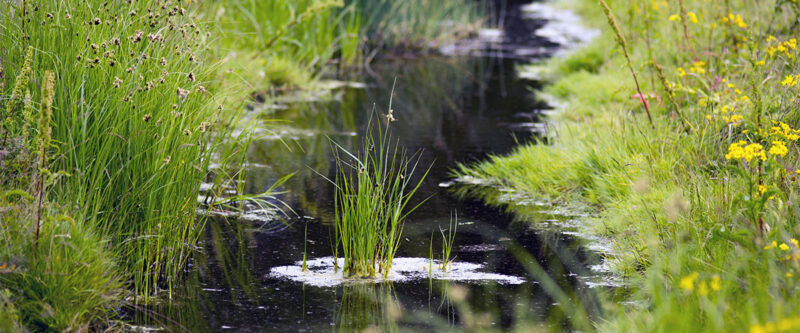 Header background mobile