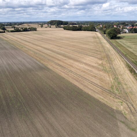 train driving next to crop field
