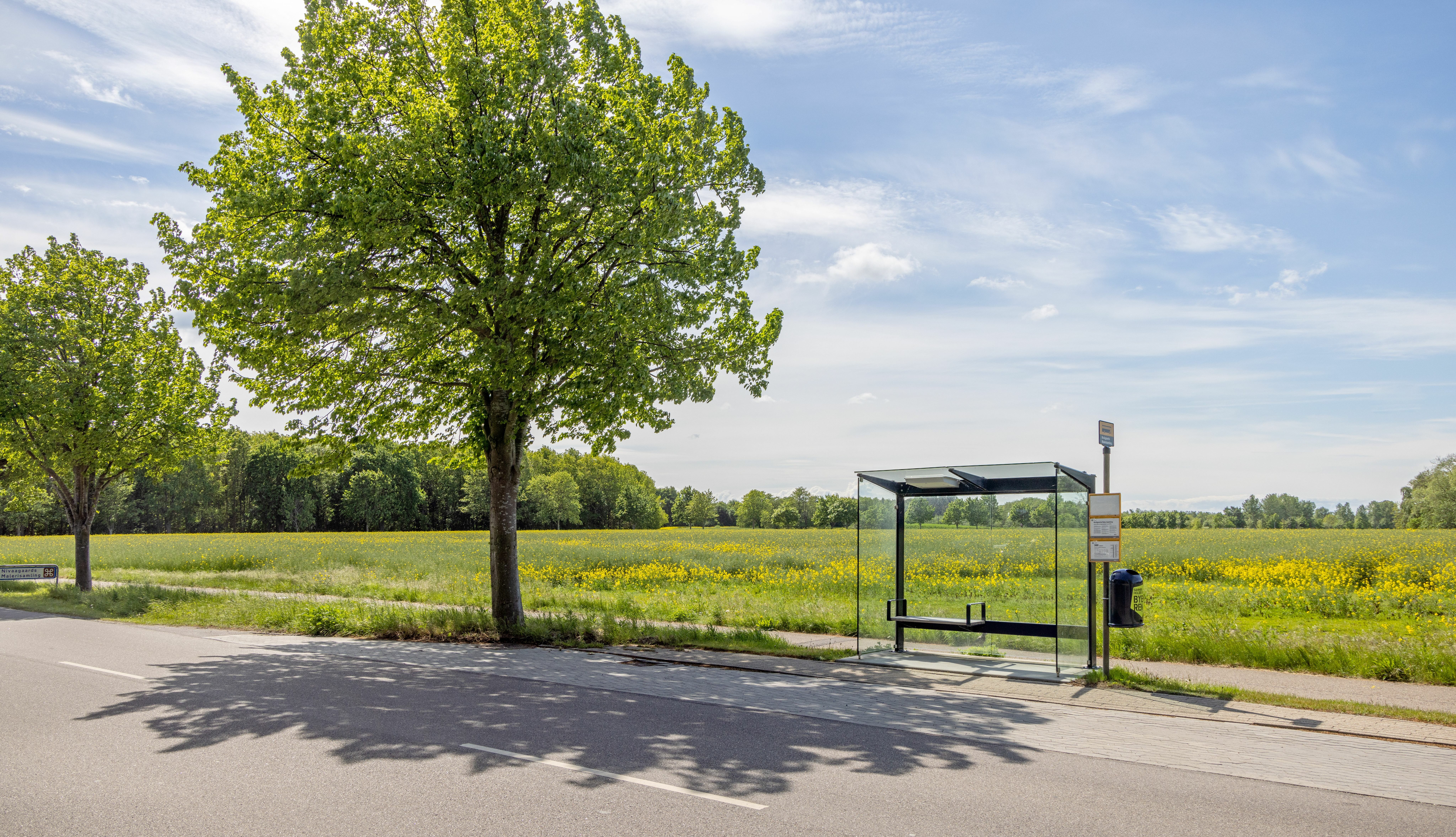 Greener and Better Bus Waiting Time 