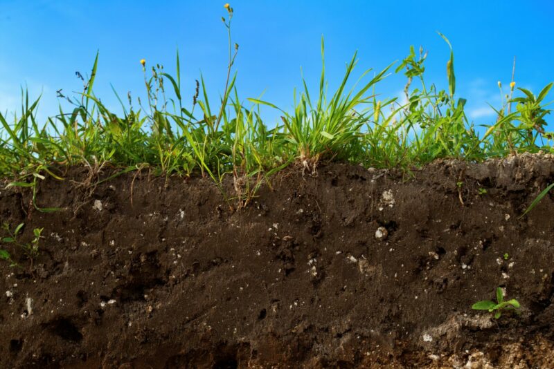 Header background mobile