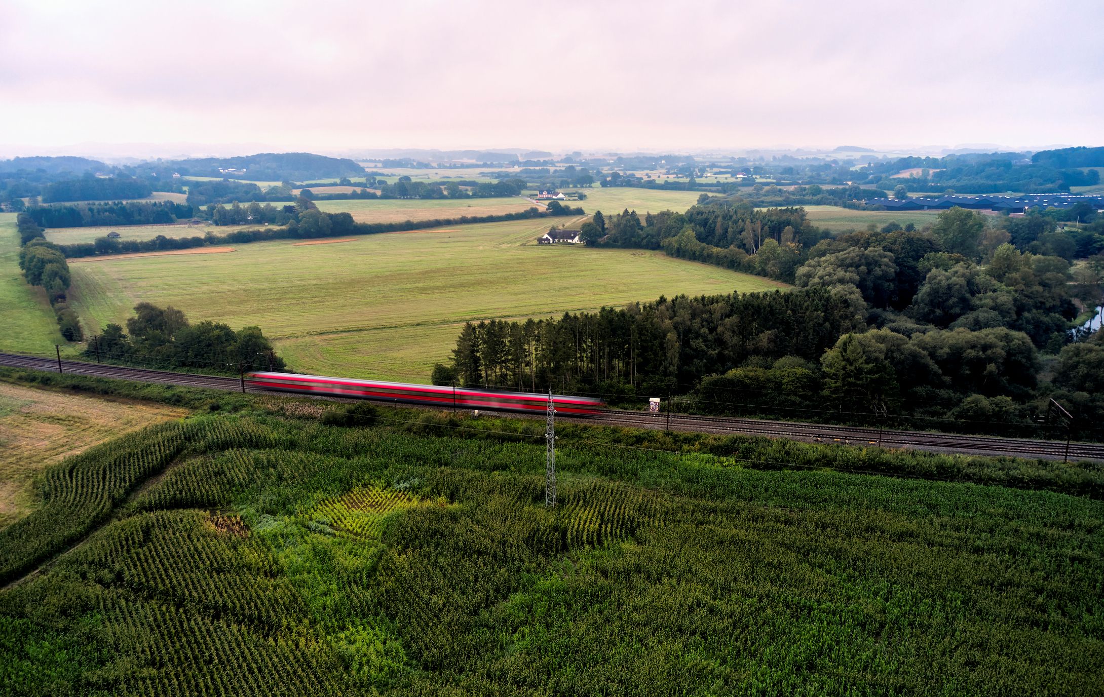 Header background