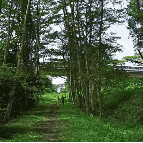 Gestion des impacts environnementaux de la ligne de Tramway Aubagne – La Bouilladisse