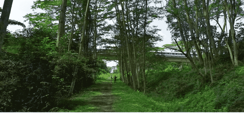 Header background mobile