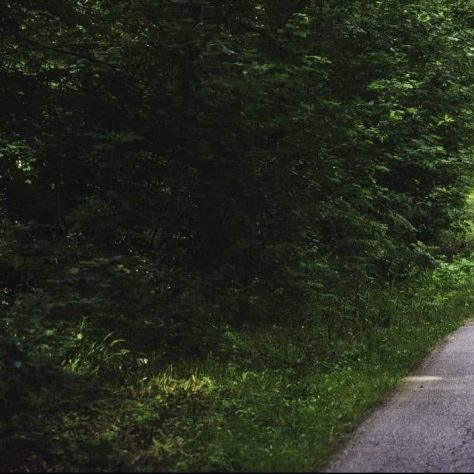 Projet de Voie verte et vélo dans le Val d’Allier