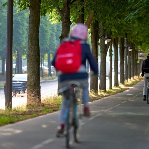 Schéma Directeur Réseau Express Vélo à Toulouse