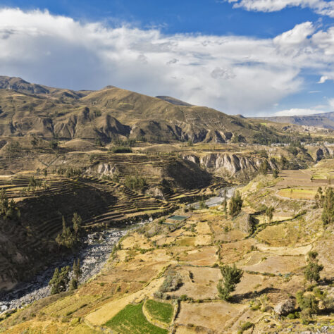 Ingeniería de detalle de los túneles del proyecto de irrigación Majes-Siguas, Perú