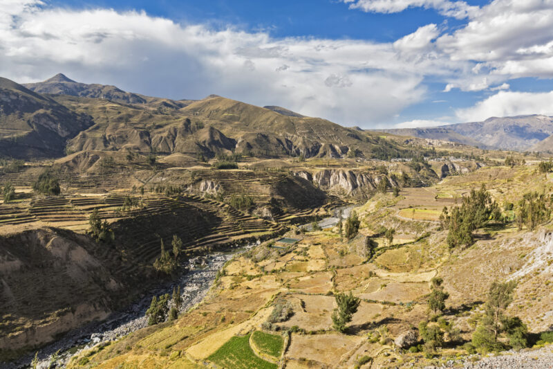 Header background mobile