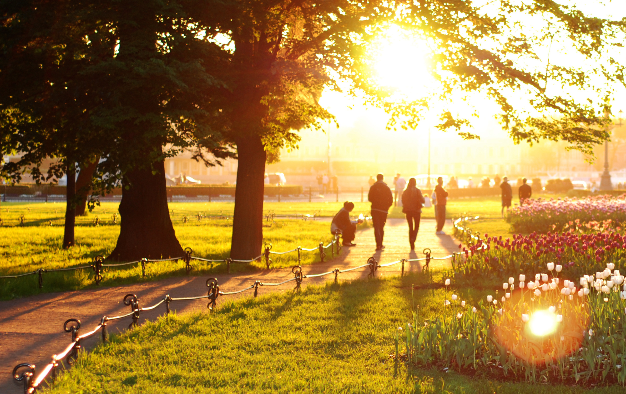 A pathway in a park surrounded by trees. The sun is shining and there are silhouettes of people walking in the park.