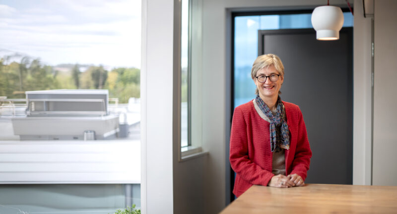 Header background mobile