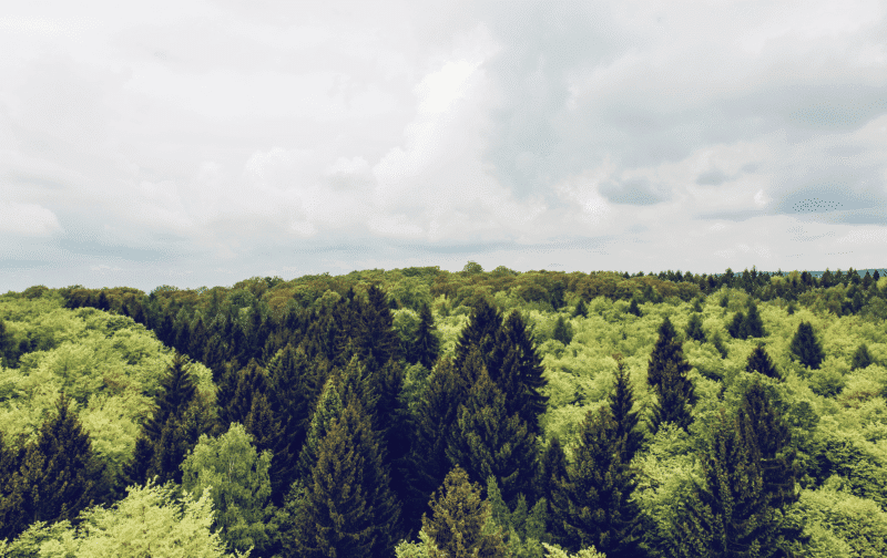 Header background mobile