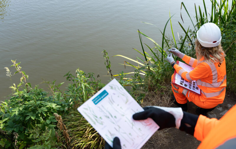 Header background mobile