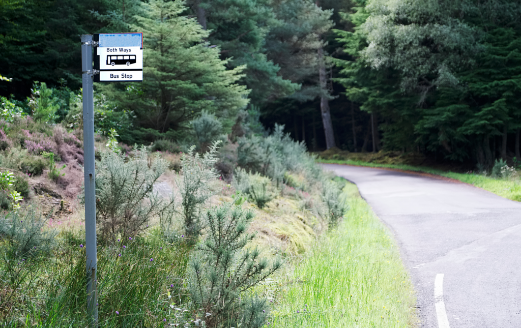 A photo of a bus stop post on the side of a rural road. The post is in some foliage and it says 'Bus stop both ways'.