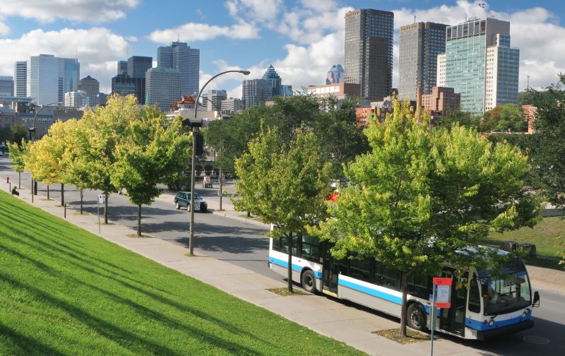 Header background mobile