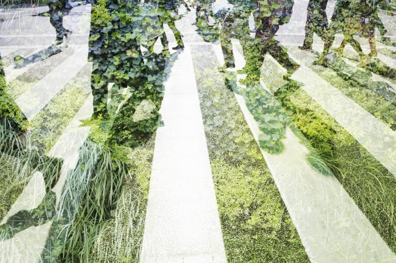 Header background mobile