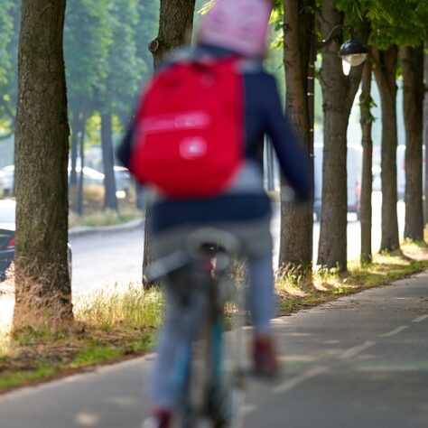 Cycle Express Network of Toulouse (Réseau Express Vélo, REVe) – France