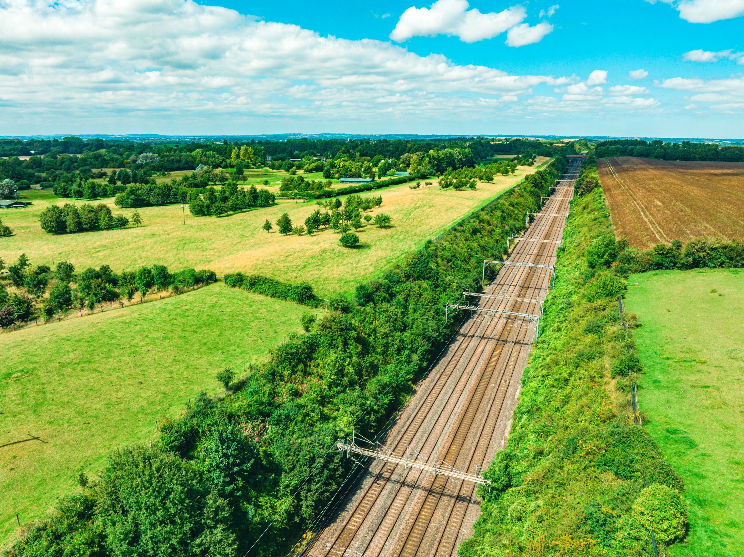 Comment SYSTRA préserve la biodiversité  dans ses projets